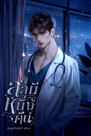 ปกนิยาย สามีหนึ่งคืน