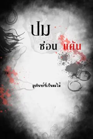 ปกนิยาย ปมซ่อนแค้น
