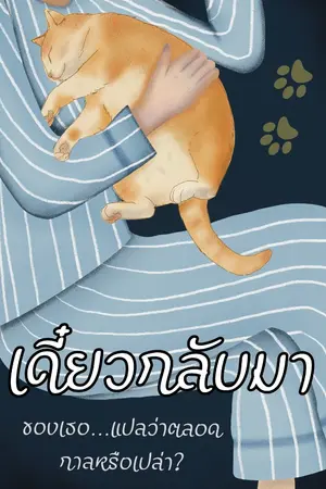 ปกนิยาย เดียวกลับมา ของเทอ…แปลว่าตลอดกาลหรือเปล่า?