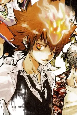 ปกนิยาย คุณดอกแดฟโฟดิล [Fic KHR x Oc]