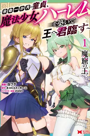ปกนิยาย Makutsu no Ou ~Yomei Ikkagetsu no Doutei, Mahou Shoujo Harem o Kizuite Ou e Kunrinsu~(นิยายแปล)