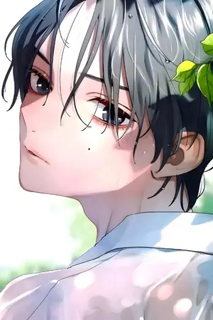 ปกนิยาย Haikyuu – Echoes of Summer (OC)