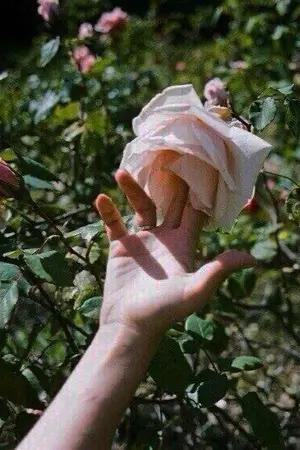 ปกนิยาย Key’s short story บันทึกของคีย์