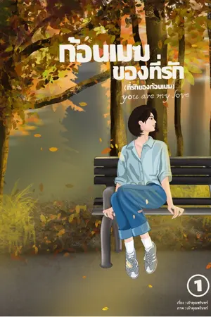ปกนิยาย ก้อนเมฆของที่รัก