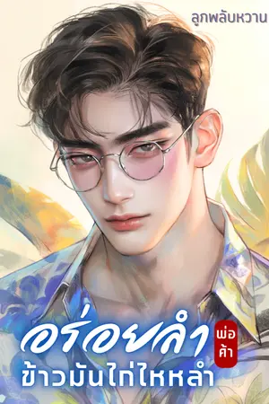 ปกนิยาย อร่อยลำพ่อค้าข้าวมันไก่ไหหลำ