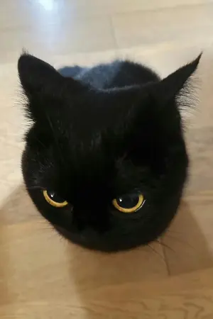 ปกนิยาย คอลเลคชั่นแนะนำนิยาย ของCloudFox