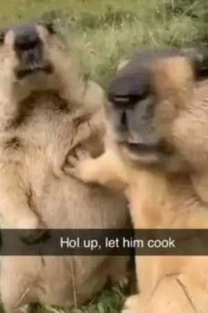 ปกนิยาย เกิดใหม่ต่างโลกพร้อมระบบกองทัพ