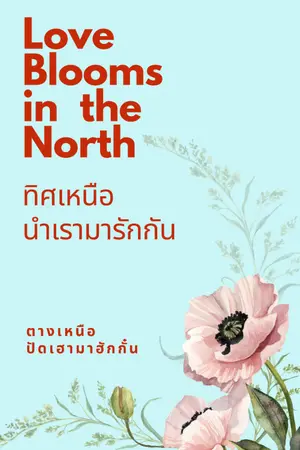 ปกนิยาย ทิศเหนือนำเรามารักกัน