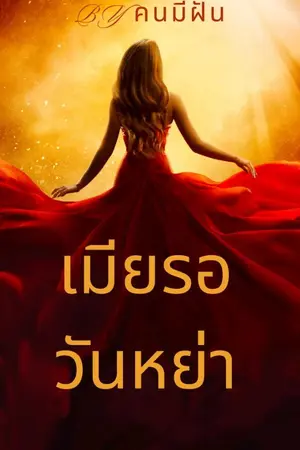 ปกนิยาย เมียรอวันหย่า