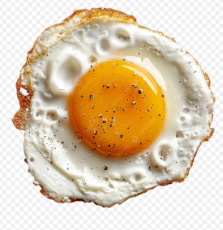 ปกนิยาย คอนดัช