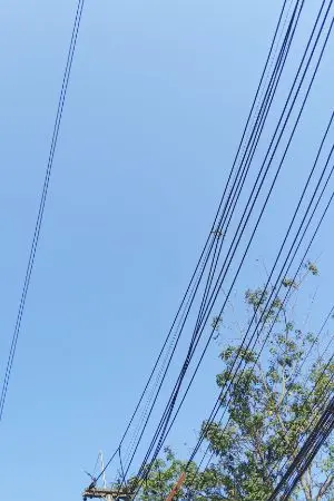 ปกนิยาย ชูราชิ