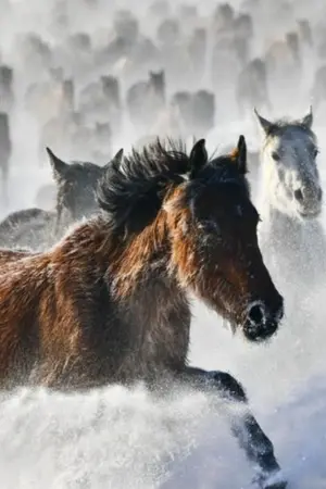 ปกนิยาย หยาดหิมะแดงกลางคิมหันต์