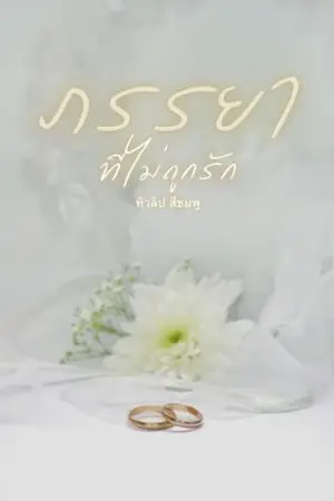 ปกนิยาย ภรรยาที่ไม่ถูกรัก