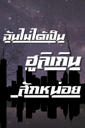 ปกนิยาย ฉันไม่ได้เป็นฮูลิเกินสักหน่อย