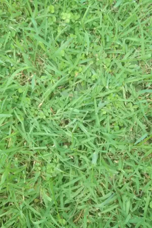 ปกนิยาย เกิดใหม่ในจักรวาลคู่ขนาน