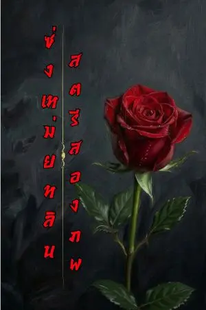 ปกนิยาย ซ่งเหม่ยหลินสตรีสองภพ