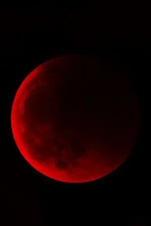 ปกนิยาย ราตรีสีชาด