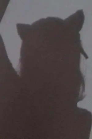 ปกนิยาย Reader Z's Playlist