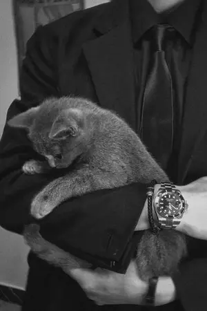 ปกนิยาย Mafia's Cat [KHReborn! : XS]