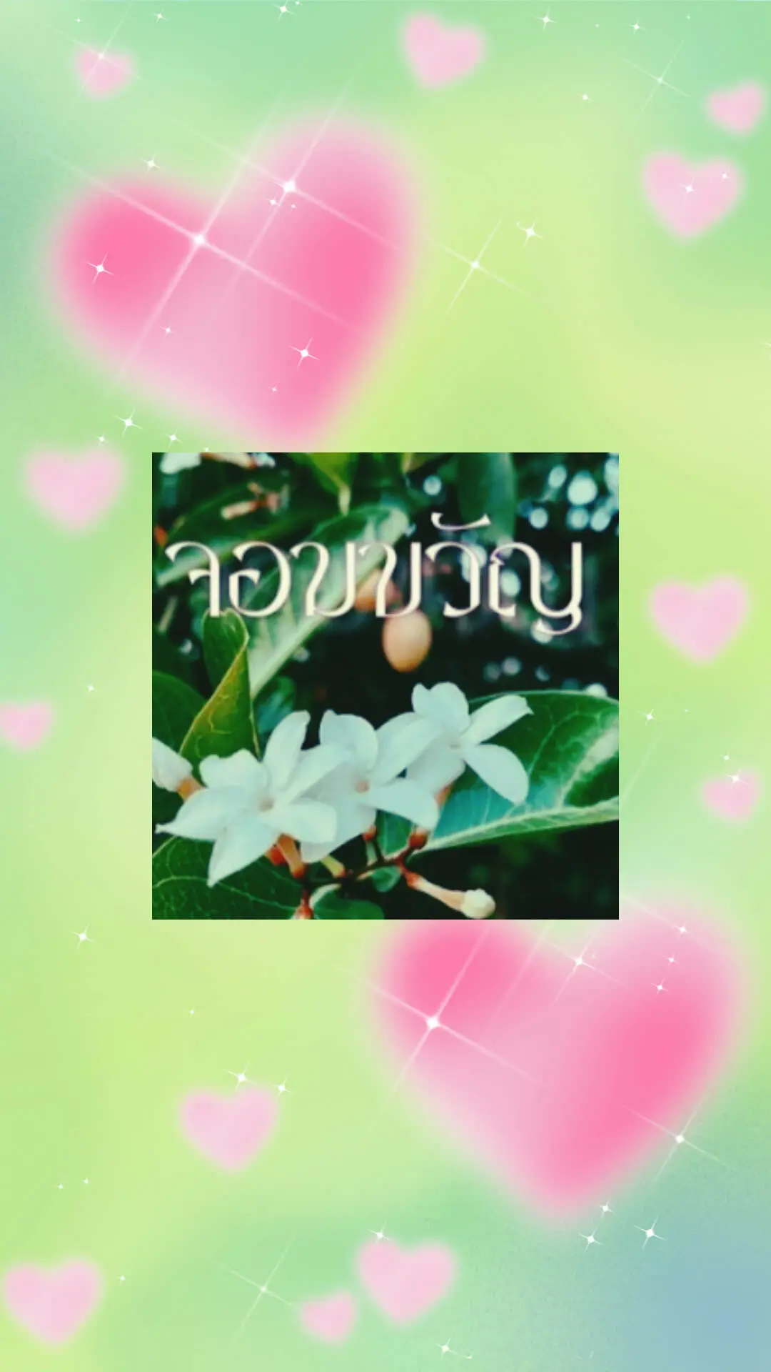 ปกนิยาย จอมขวัญ(สตาร์เอินด์1)