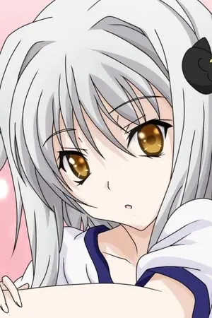 ปกนิยาย [DxD] โลหิตมาร