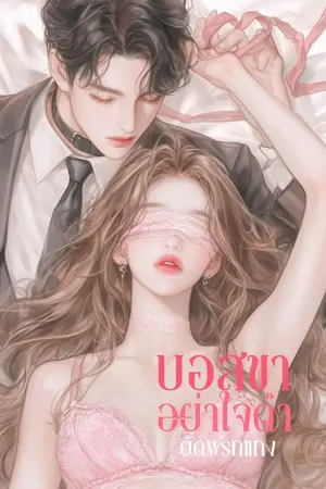 ปกนิยาย บอสขาอย่าใจดำ