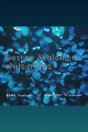 ปกนิยาย (Destiny)ลิขิตโชคชะตา ฟ้าประทานพร