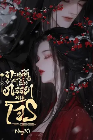 ปกนิยาย ทะลุมิติมาเป็นภรรยานายโจร