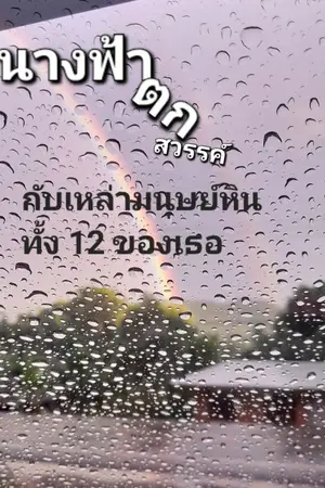 ปกนิยาย นางฟ้าตกสวรรค์กับเหล่ามนุษย์หินทั้ง12ของเธอ