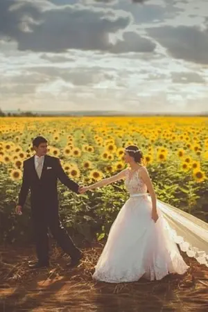 ปกนิยาย ชีวิตเจ้าทานตะวัน (Light in the dark)