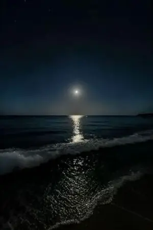 ปกนิยาย บาปของเลเวธาน