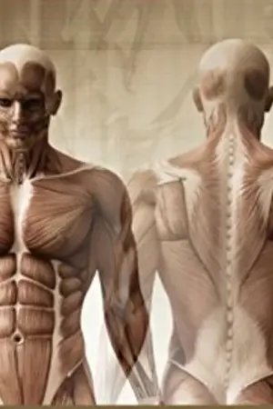 ปกนิยาย ชะตานวด ภาคพิเศษ : กรณีศึกษาฉบับหมอนวดรุ่นป้า