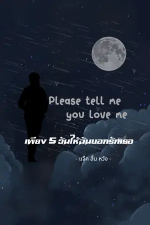 ปกนิยาย เพียง 5 วันให้ฉันบอกรักเธอ