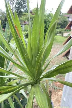 ปกนิยาย ข้ามฟ้าพิชิตรักแท้