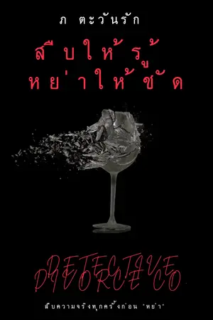 ปกนิยาย สืบให้รู้ หย่าให้ชัด Detective Divorce Co.