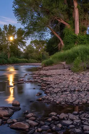 ปกนิยาย จากลา...ใต้แสงจันทร์ (บทที่ 4 ตอน ใต้เงาจันทร์...เธอคือเดือนเสี้ยว (บทคลี่คลาย)