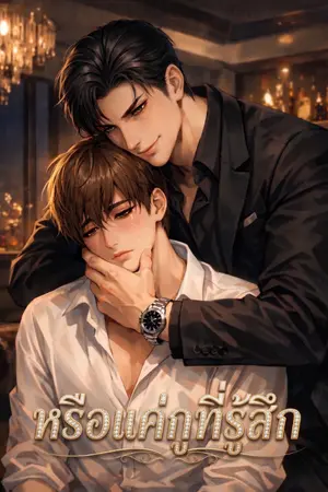 ปกนิยาย หรือแค่กูที่รู้สึก