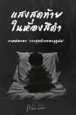 ปกนิยาย แสงสุดท้ายในห้องสีดำ