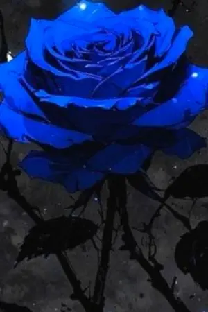 ปกนิยาย กลับมาที่โลกเดิมก็มีเรื่องซะแล้ว