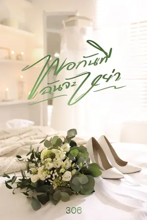 ปกนิยาย พอกันทีฉันจะหย่า (มีอีบุ๊กอีบุ๊ก)