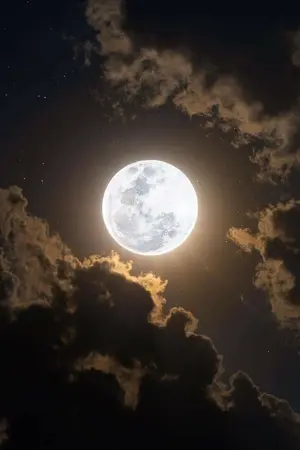 ปกนิยาย Kimetsu no yaiba | 物の哀れ mono no aware (oc)