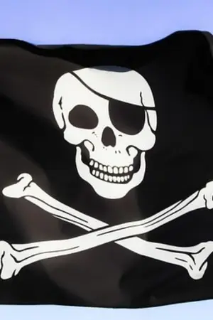 ปกนิยาย ไหงข้ากลายเป็น สมาชิกกลุ่มโจรสลัดโรเจอร์