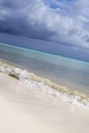 ปกนิยาย เผลอรักไซเรนร้าย