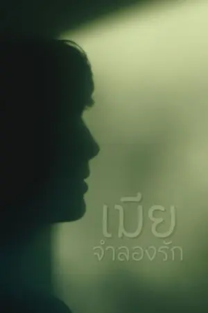 ปกนิยาย เมีย/จำลองรัก เดี่ยว/ขาม