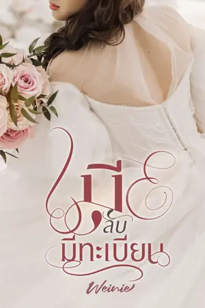 ปกนิยาย เมียลับมีทะเบียน