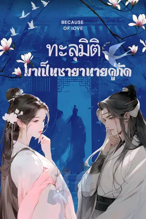 ปกนิยาย ทะลุมิติมาเป็นชายานายคู่กัด