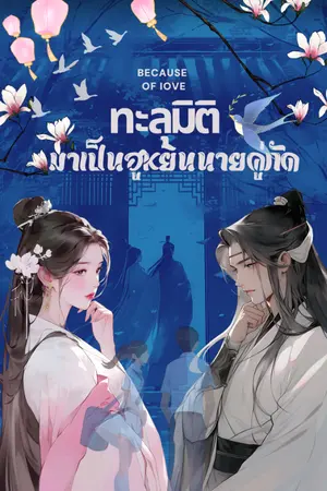 ปกนิยาย ทะลุมิติมาเป็นฮูหยินนายคู่กัด