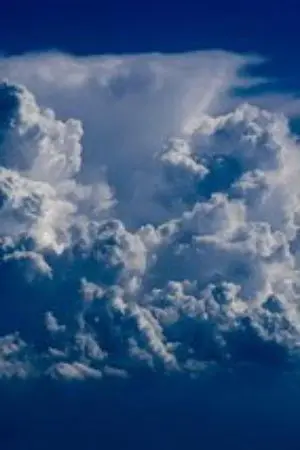 ปกนิยาย ฝันของมิตรดับเพราะพิษพนันออนไลน์