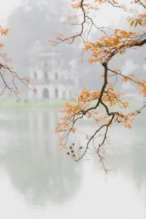 ปกนิยาย Life เกิดใหม่อีกครั้ง