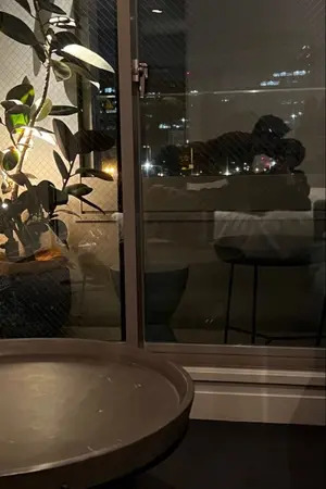 ปกนิยาย เขาจ้างให้ผมมาเป็นแฟน